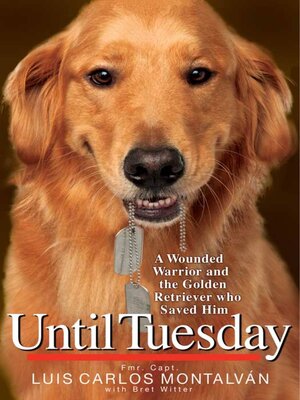 Until Tuesday - ebook